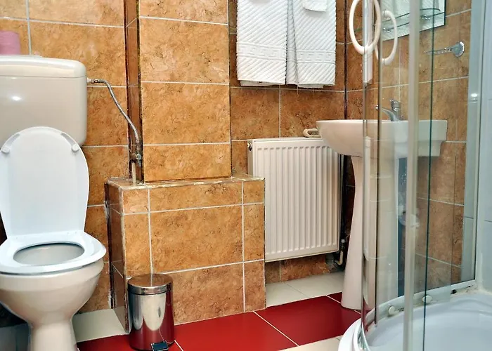 Strelitia 3* Temešvár